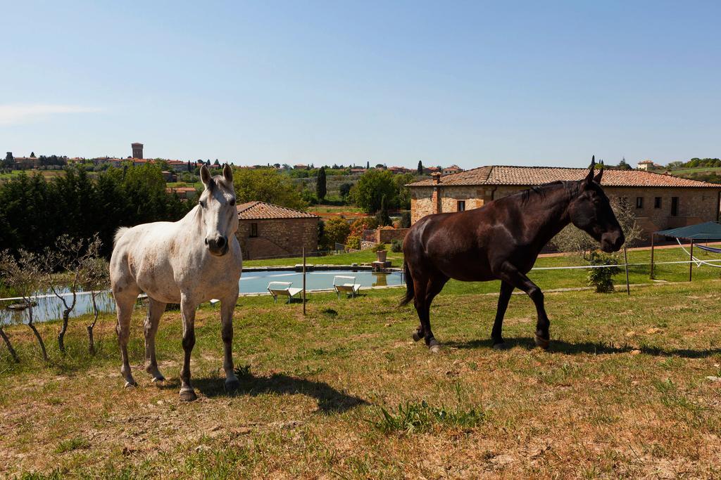 La Collina *