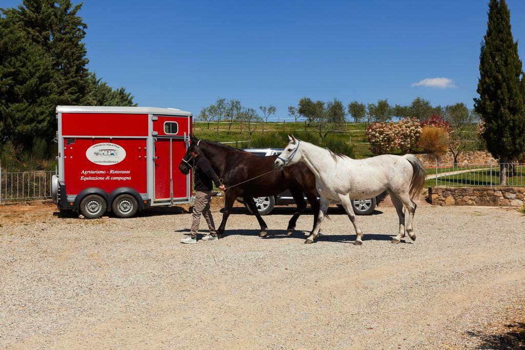 卡萨·迪坎帕尼亚农业之家（Casa di campagna Agritorismo La Collina Pienza）