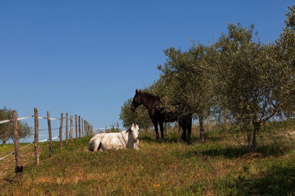 农业主义La Collina Casa di campagna